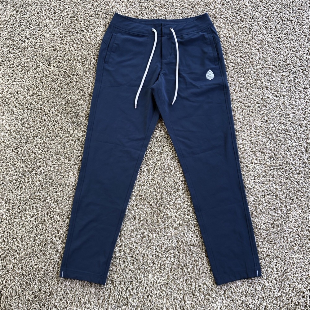 Stio CFS Board Pants Womens Size 2 Mountain Shadow Color Hydrophobic Stretch NWT